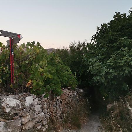 Naxos Mountain Retreat - Tiny House Build On Rock Lejlighed Koronos Eksteriør billede